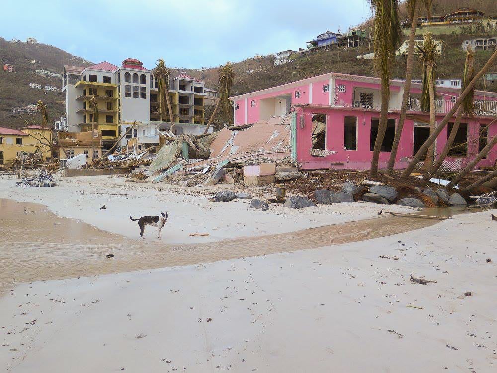Tortola has been devastated by Irma