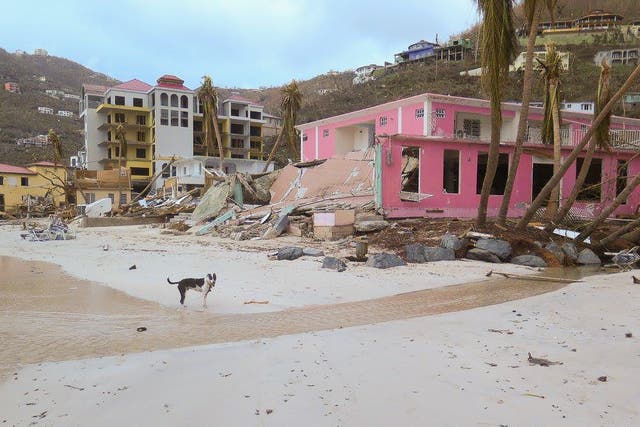 Tortola has been devastated by Irma