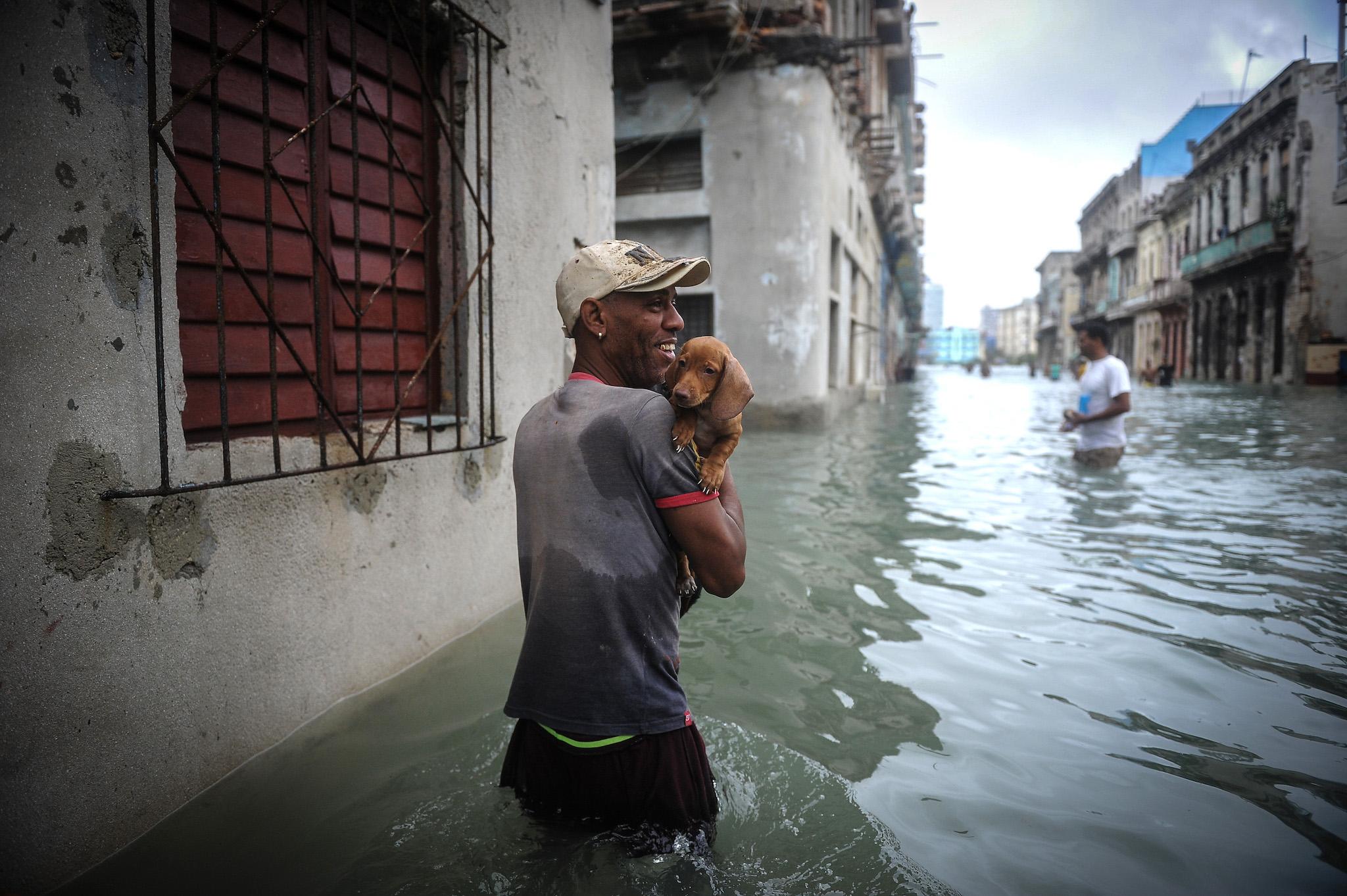 A Cuban carrying his pet wades through a flooded street in Havana, on September 10, 2017