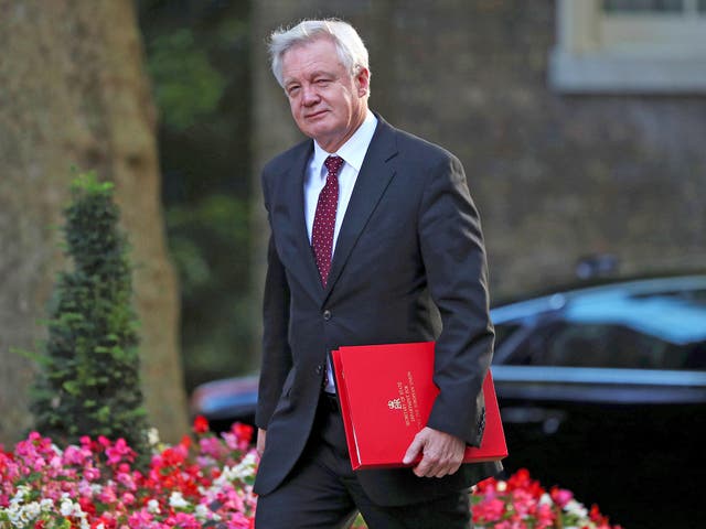 David Davis, Secretary of State for Exiting the European Union