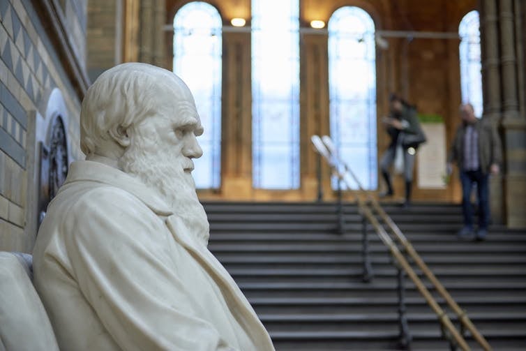 The evolution of Charles Darwin: once firmly religious, then doubtful, and finally disbelieving