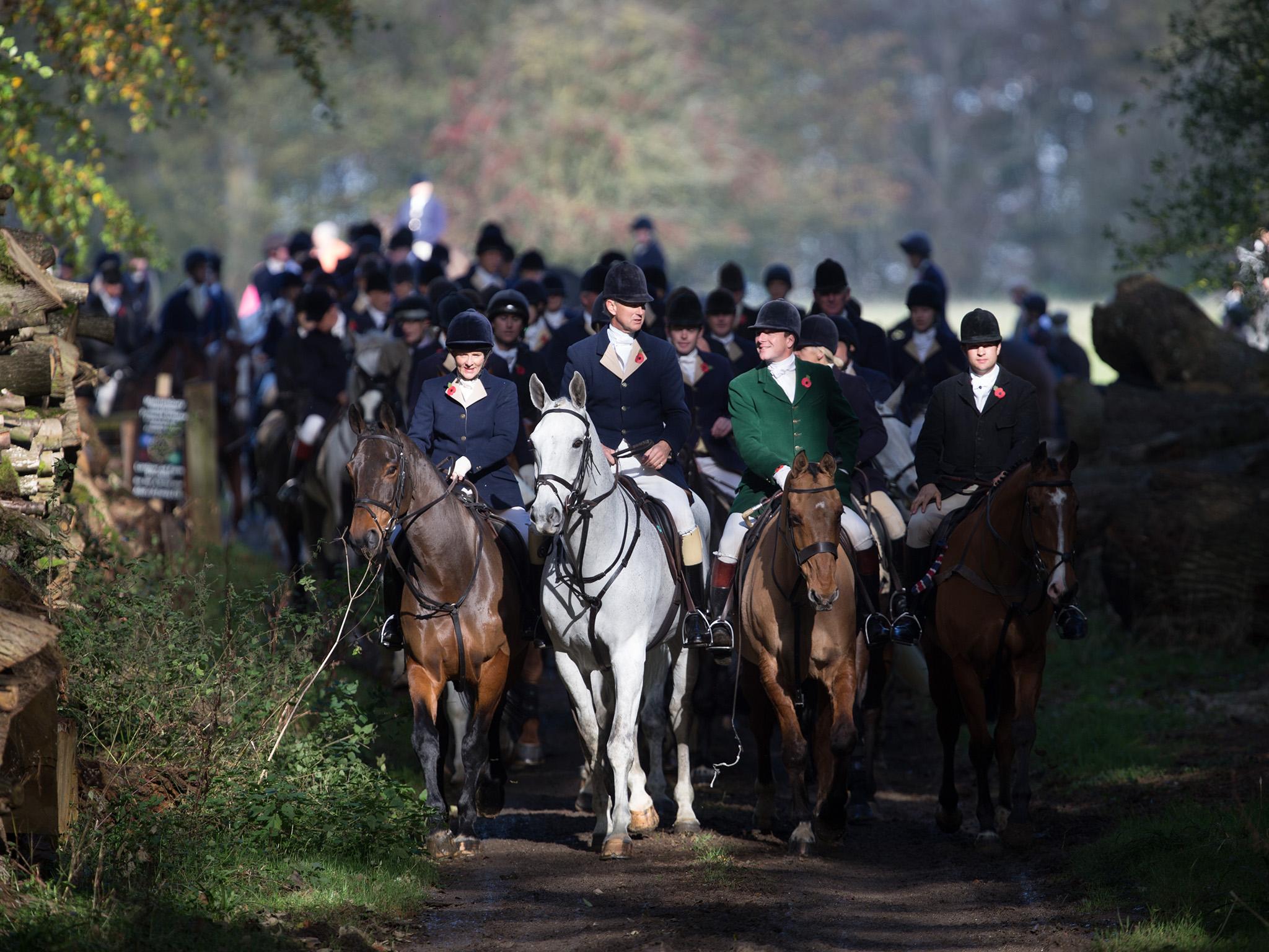 The police appear confused about what actually constitutes illegal hunting with dogs