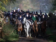 Boxing Day trail hunts are  just as cruel as illegal animal hunting