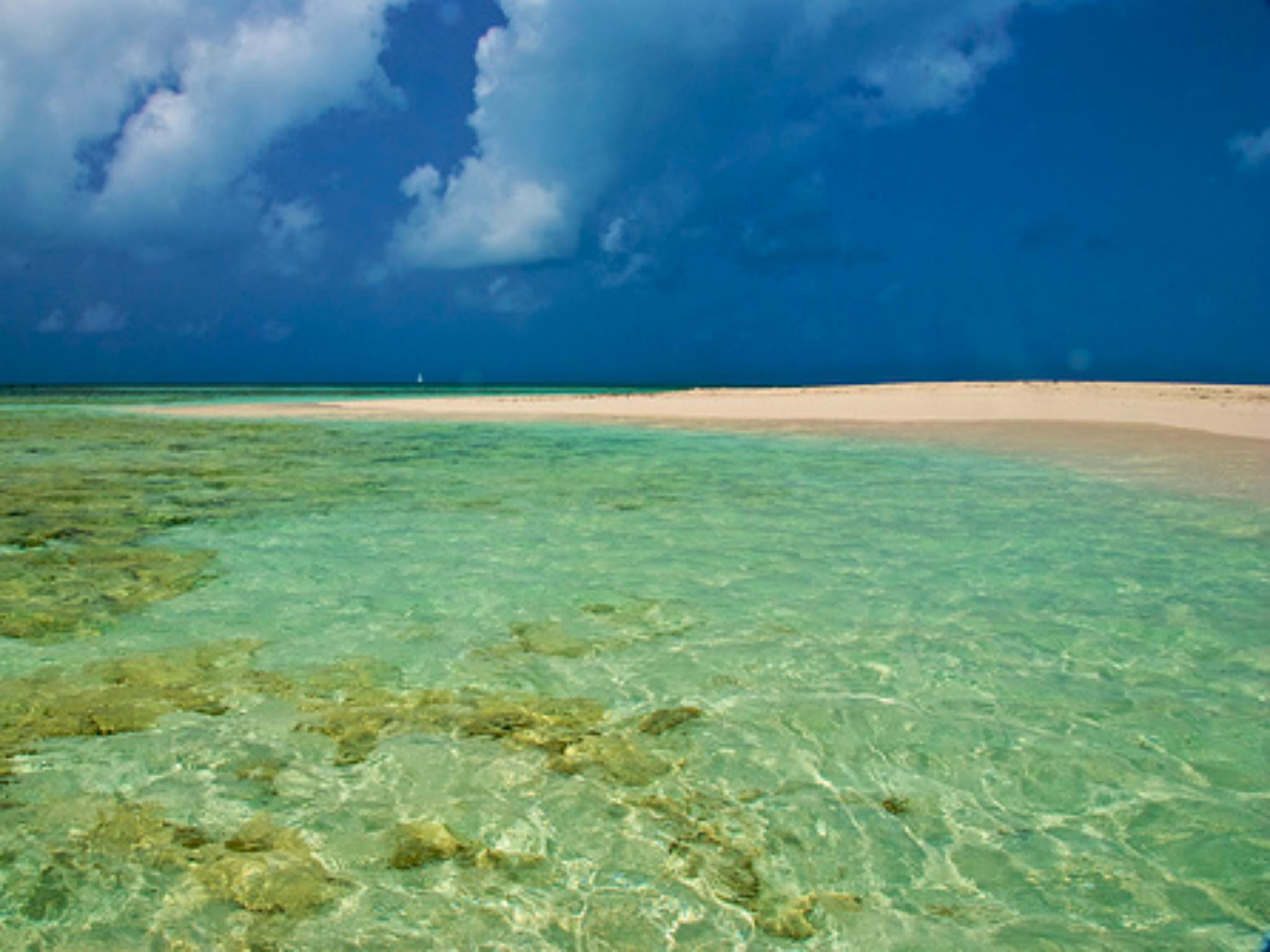 The Caribbean island of Barbuda is known for its pristine beaches and clear waters