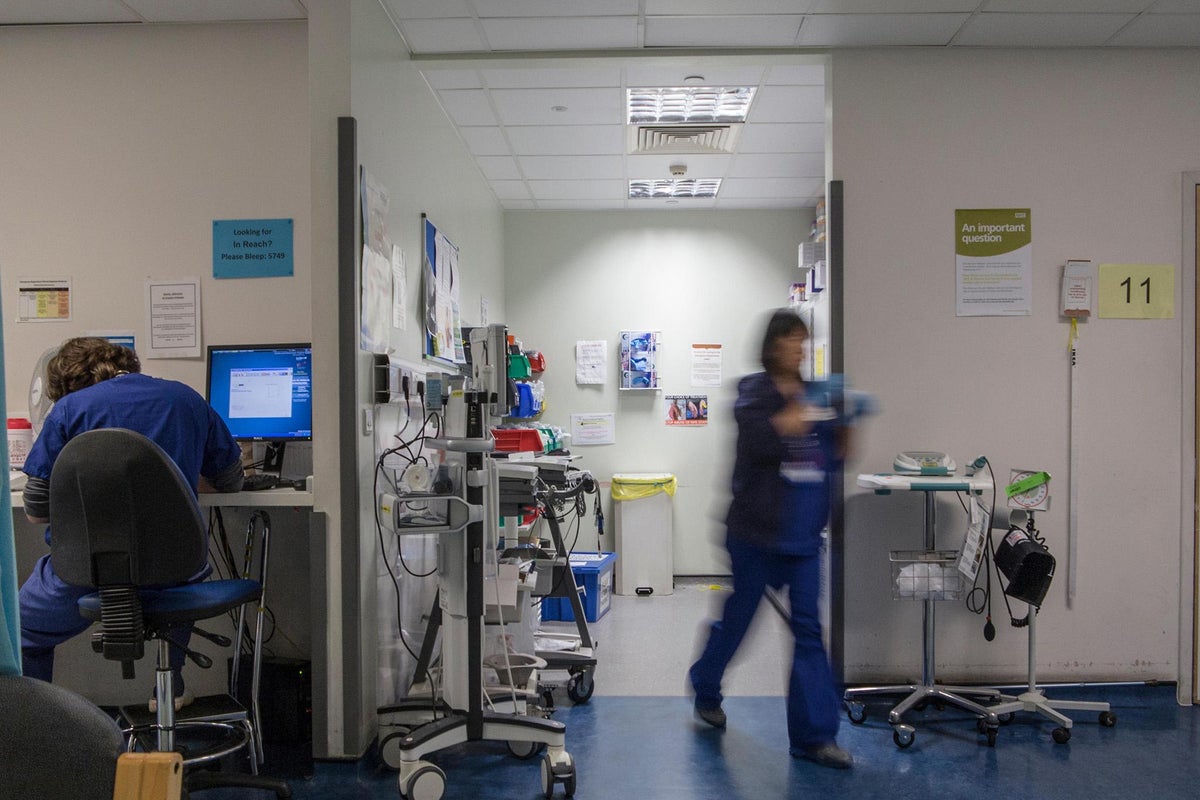 NHS computer problems could be to blame for ‘hundreds of deaths ...