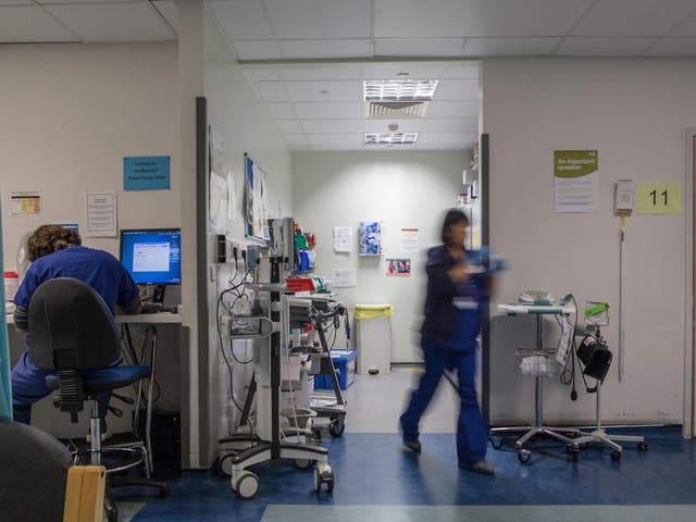The report's authors are calling for an inquiry into the safety of hospital software