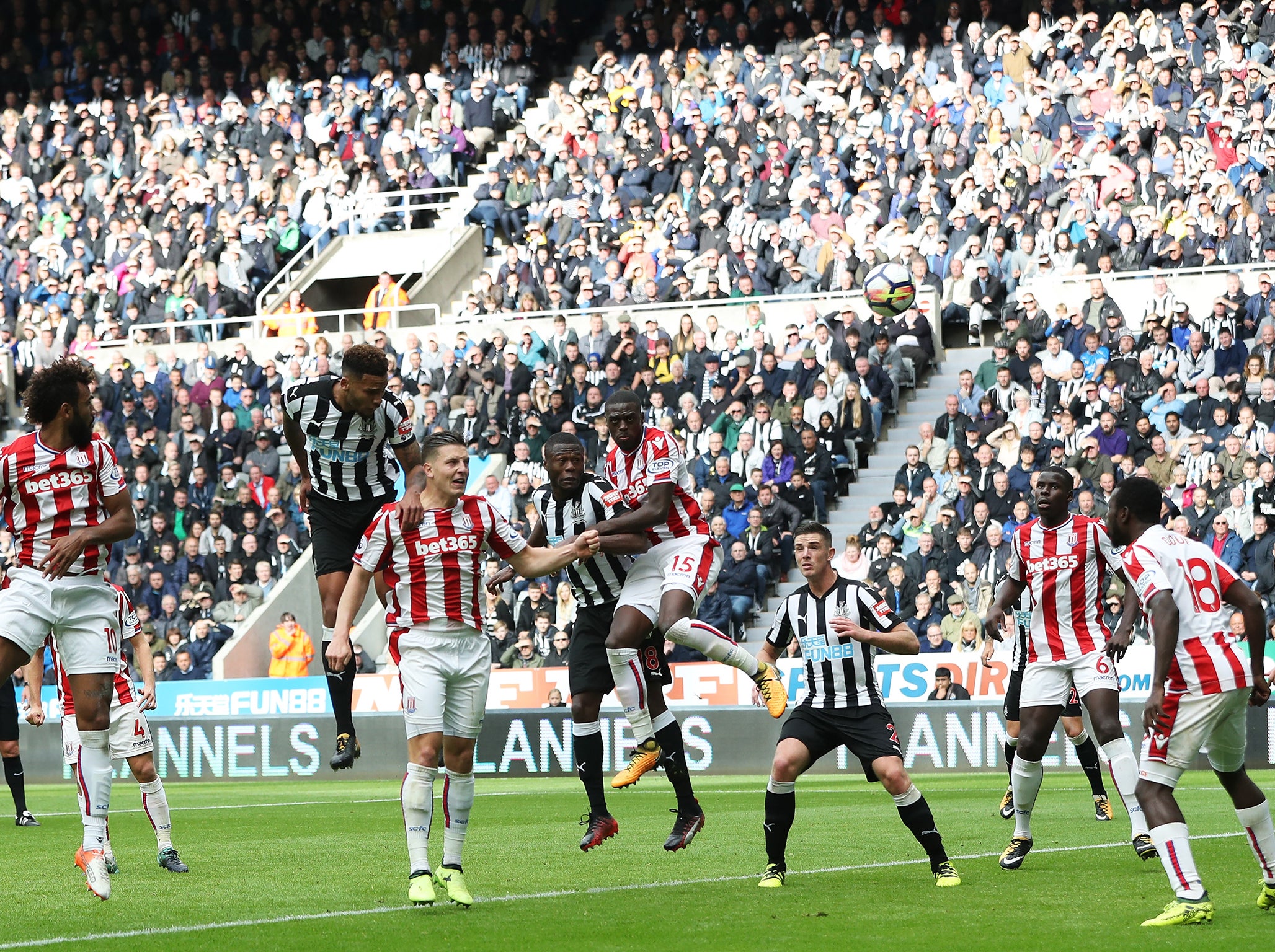 The Newcastle captain rose highest to head his side into the lead