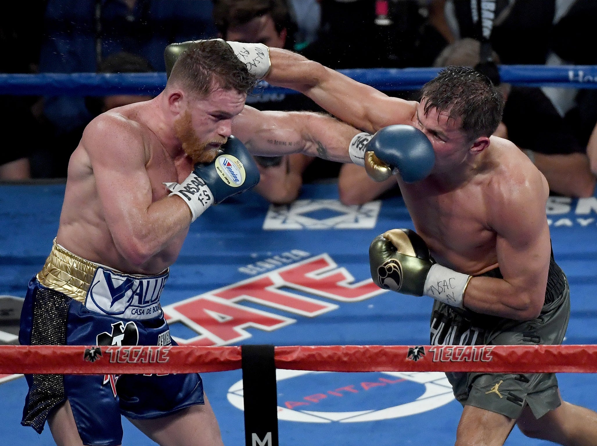 Golovkin and Canelo battled to a draw