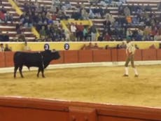 Bullfighter gored to death by bull in Portugal