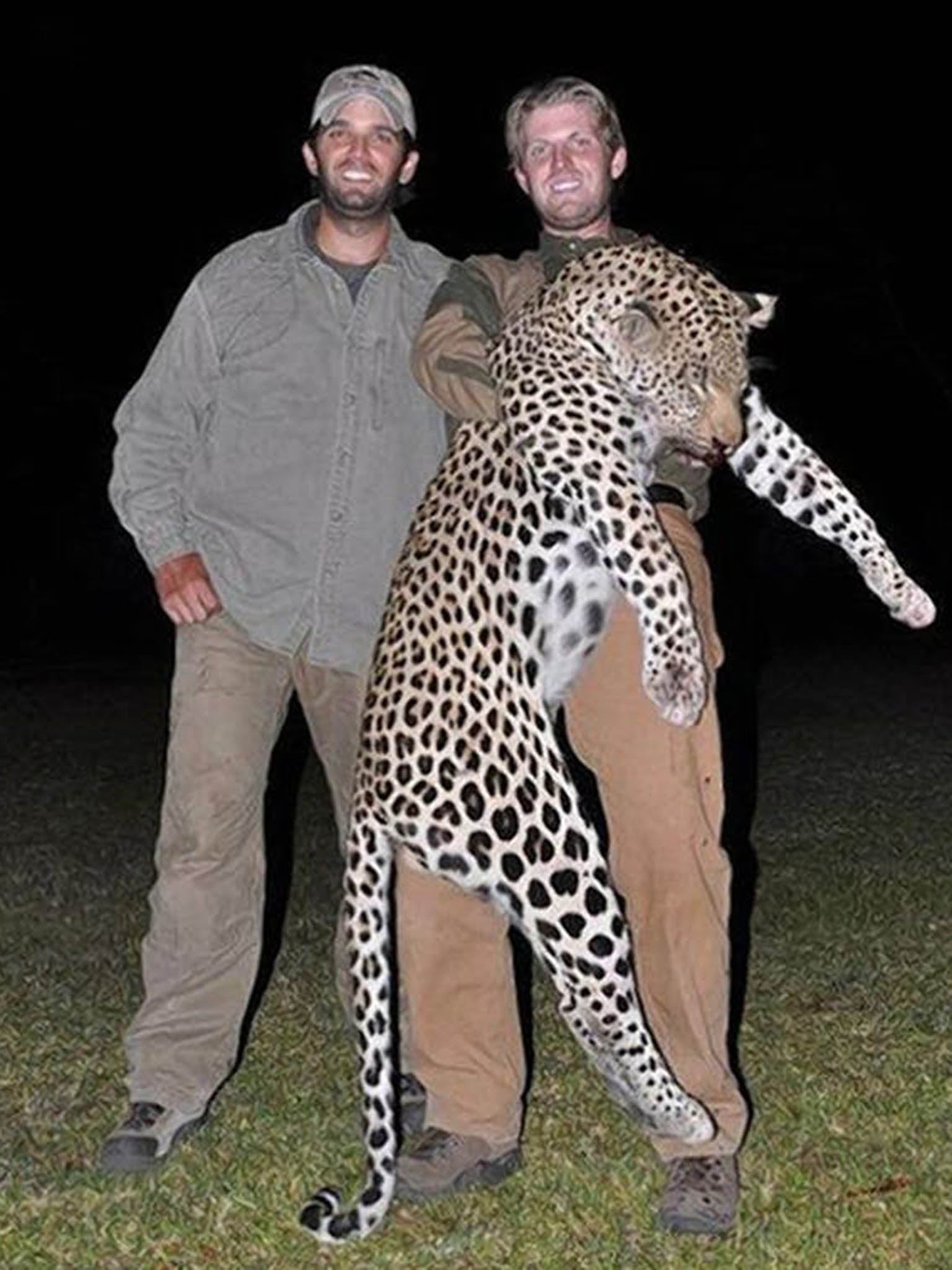 Donald Trump Jr and Eric Trump, the president’s sons, are seen here with a leopard they hunted in 2011 in Zimbabwe