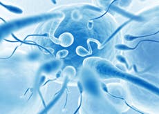 The worrying effect of obesity on your sperm