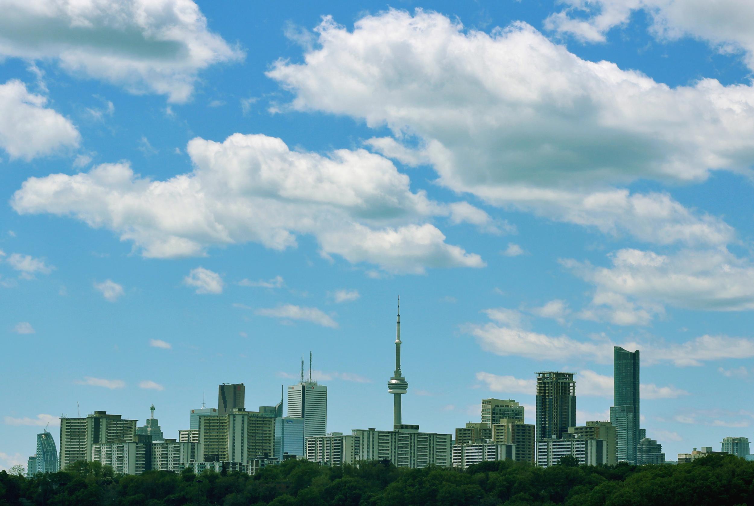 Toronto's underground forest is being marketed as an urban park