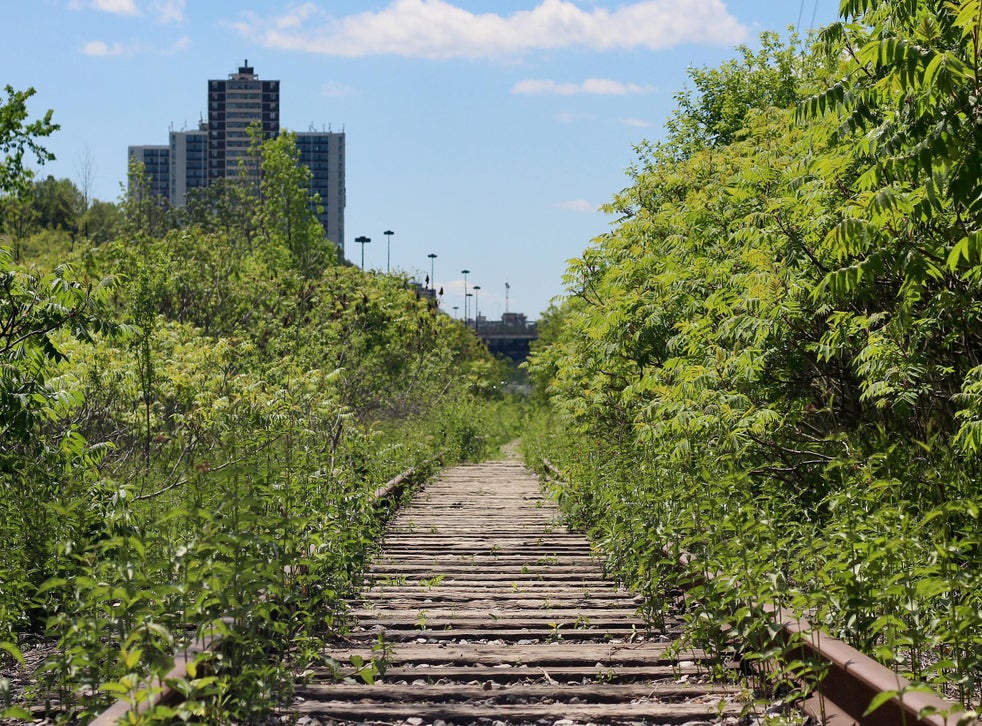 Toronto S Ravines This Underground Forest Playground Has Been Transformed Into The Greatest Urban Park Ever The Independent The Independent this underground forest playground has