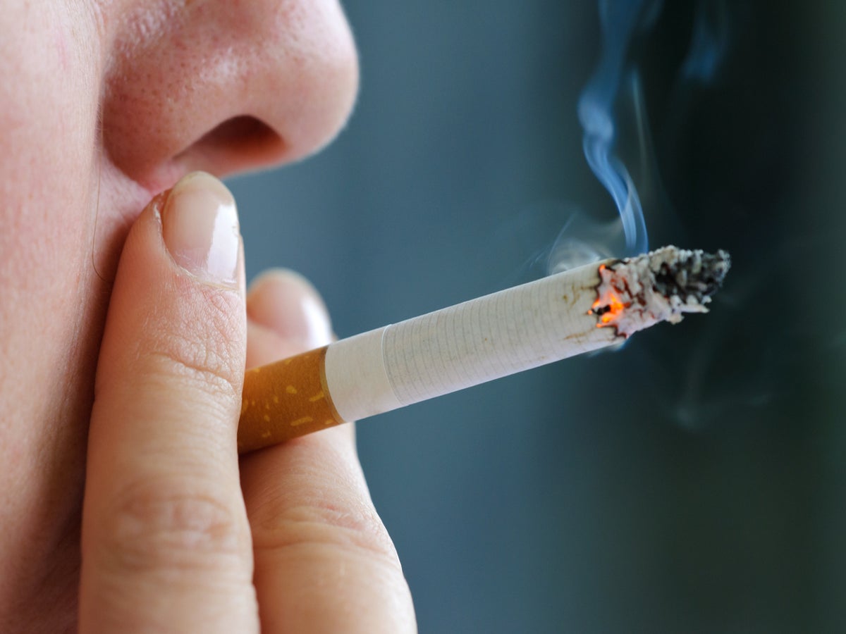 How one packet of cigarettes affects your lungs in one video | The  Independent