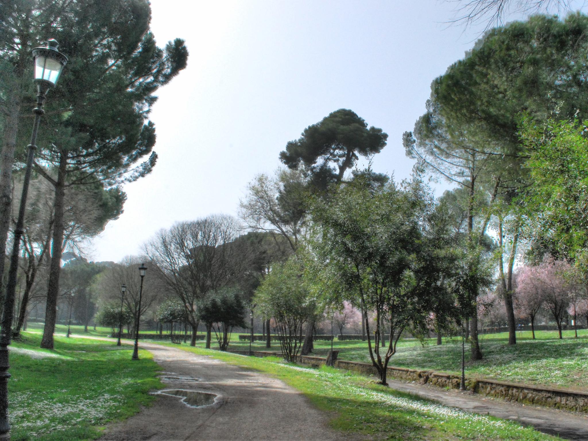 The tourist was allegedly robbed and bound before being raped in the Villa Borghese park just north of the Italian capital’s centre