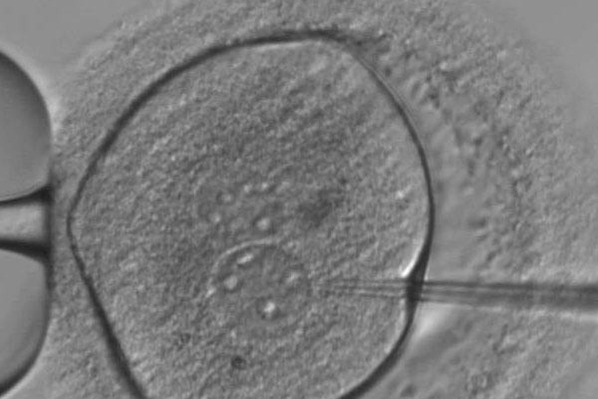 Chinese gene-edited babies could have unintended consequences ...