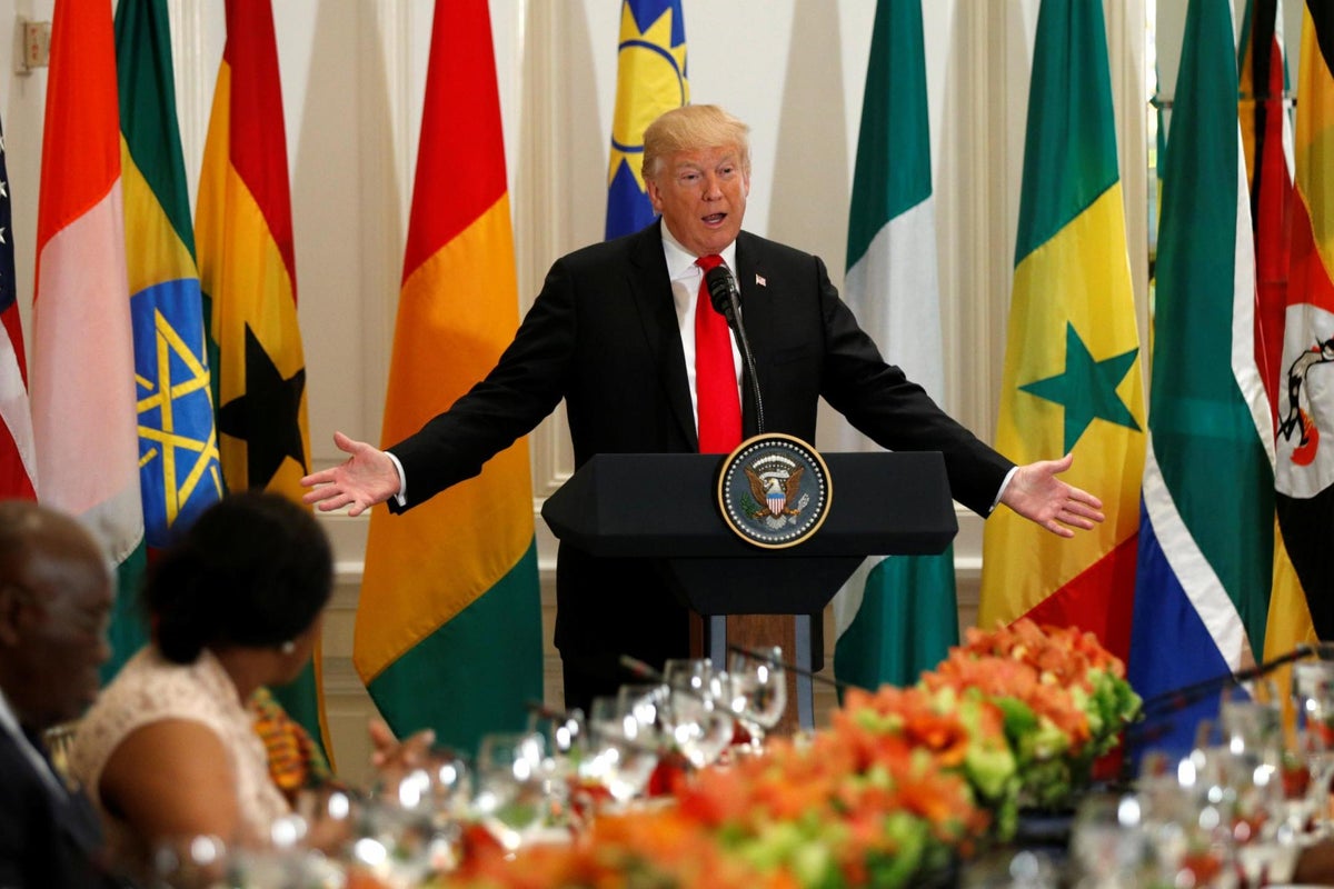 Donald Trump tells African leaders his friends 'are going to your ...