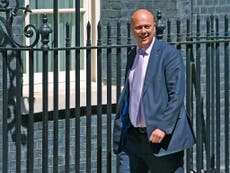 Brexit comes to Pooh Corner with Chris Grayling as Christopher Robin 