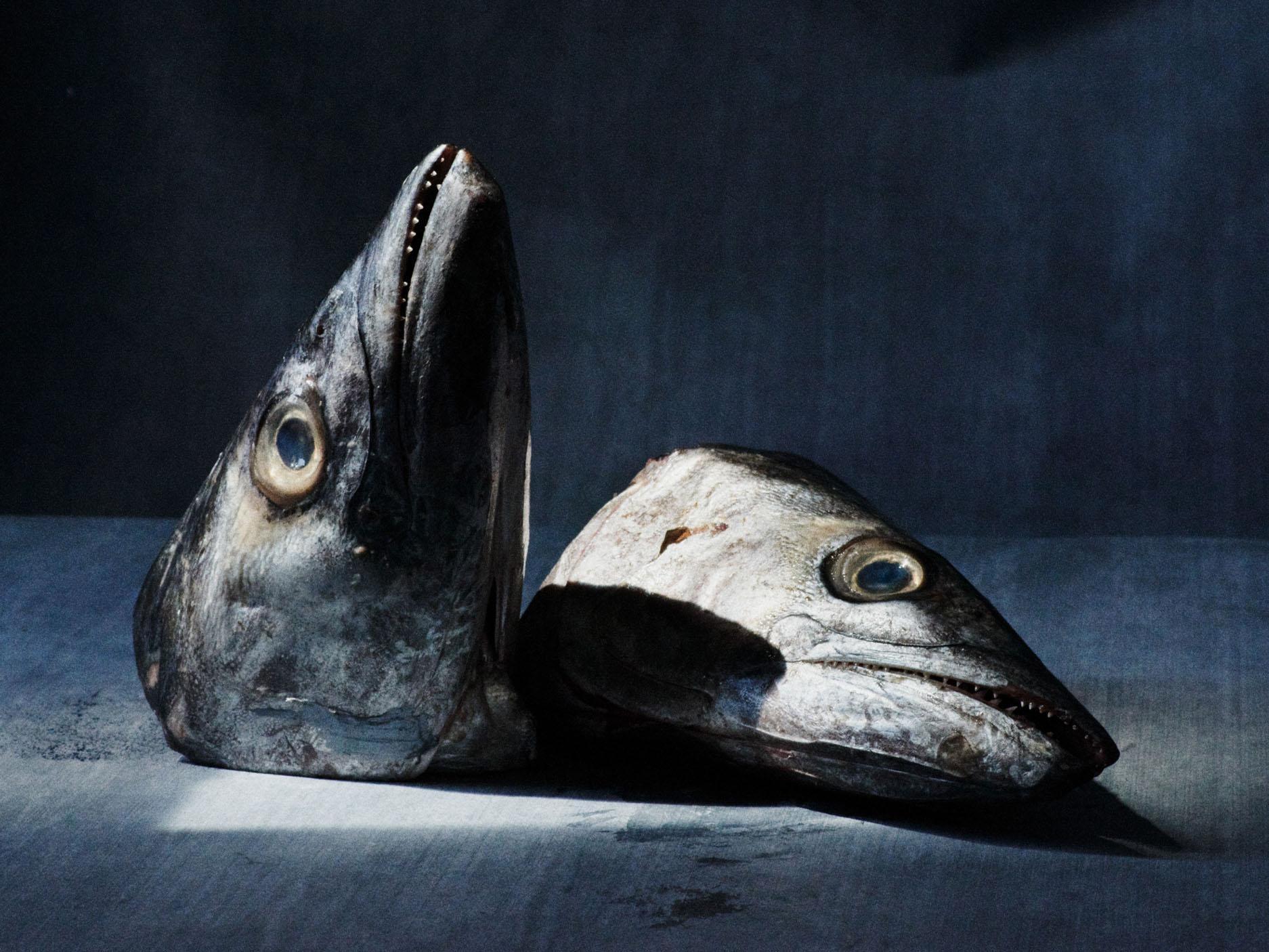 mercury poisoning fish