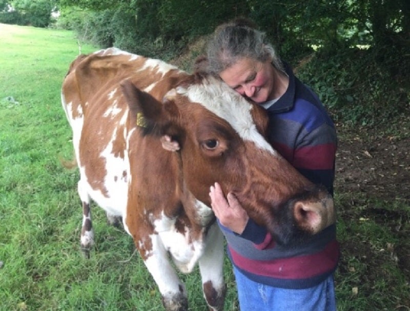 Farmer Jill Smith wanted to save her herd from slaughter