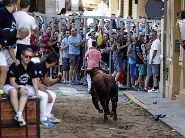 A bull run in Valencia in 2015. The sport remains popular in Spain despite several attempts to ban it
