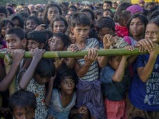 Burma: '228 Rohingya Muslim villages destroyed in just one month'