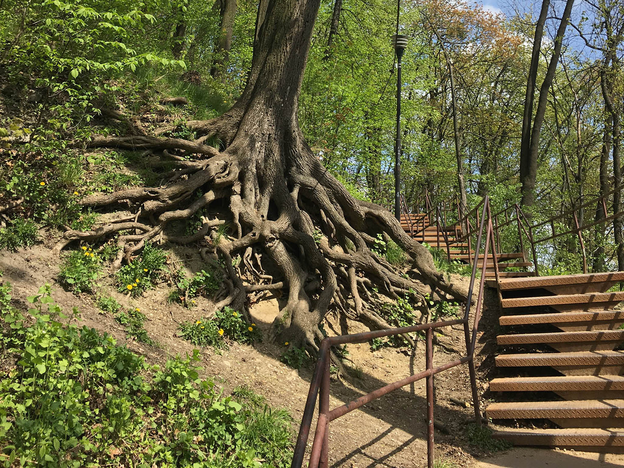 The start of the path up to High Castle begins with rusted old steps
