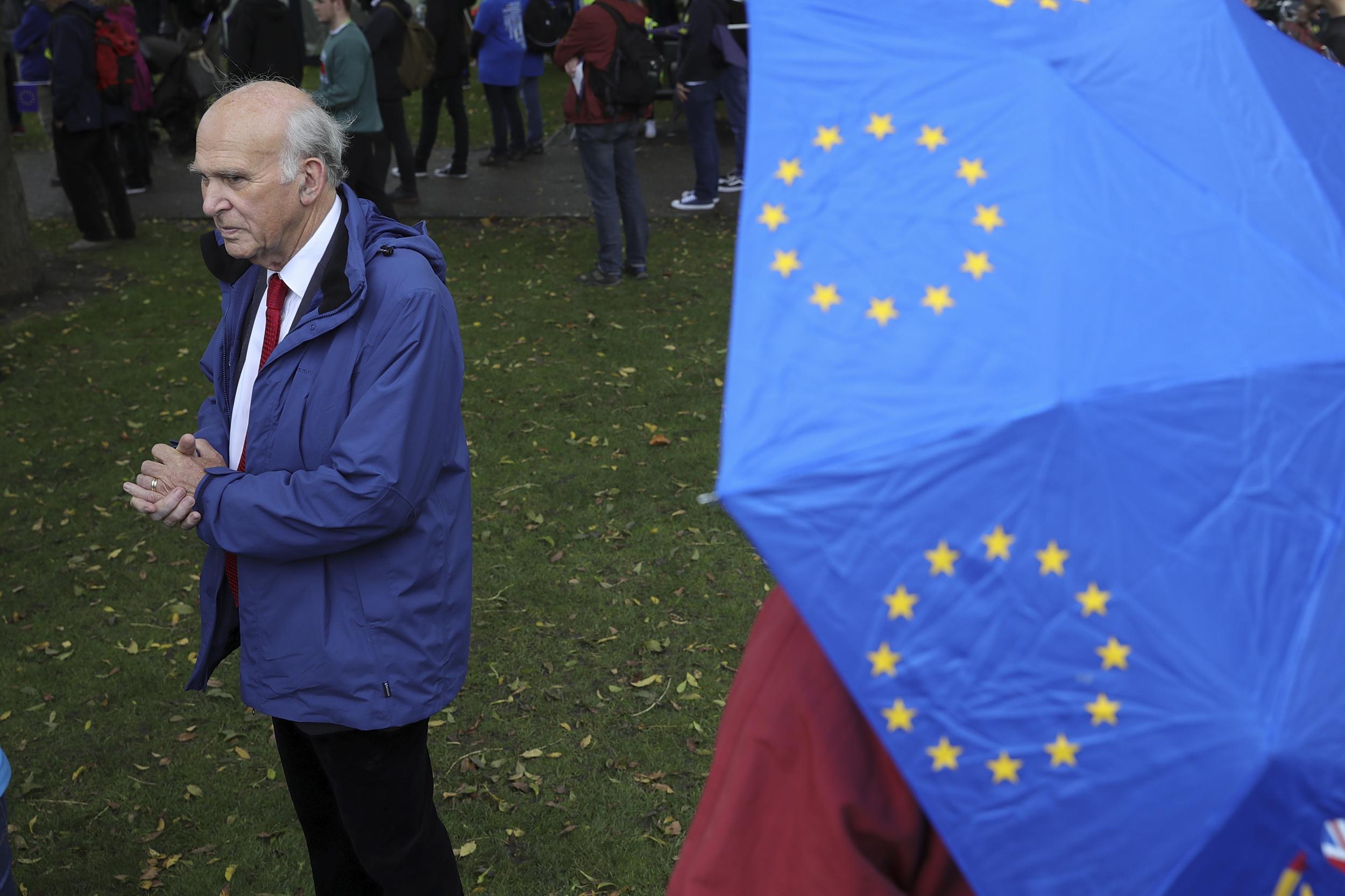 Lib Dem leader Sir Vince Cable attends a pro-EU demonstration