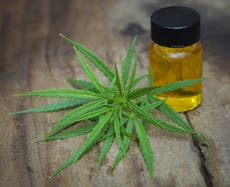 Cannabis oil credited with saving life of six-year-old girl