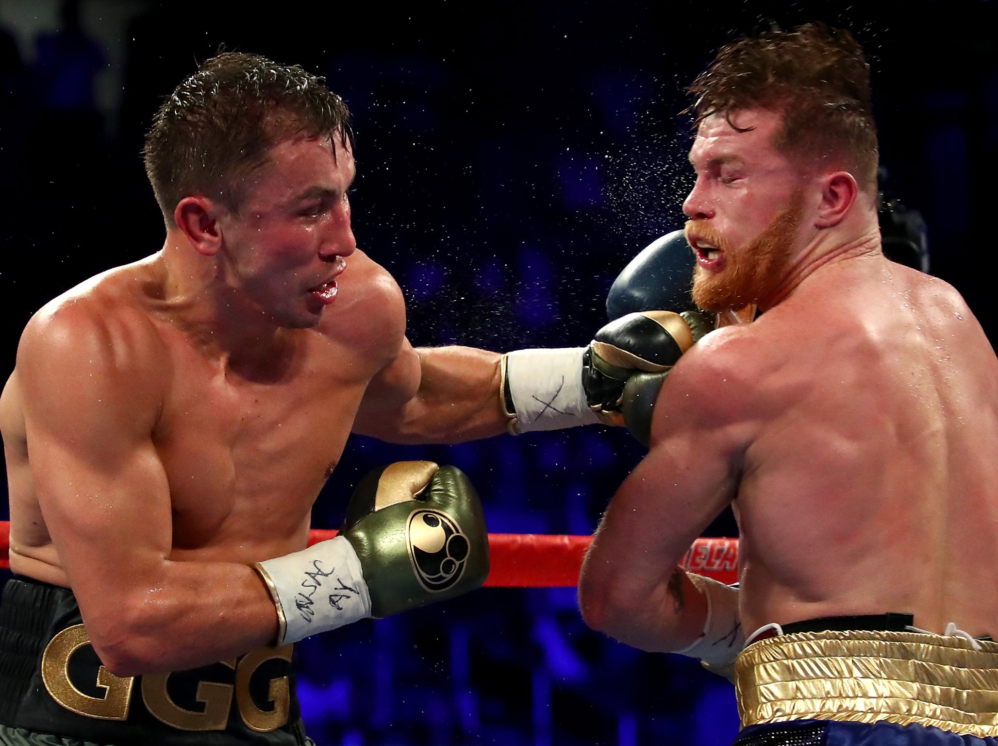 Golovkin and Canelo look set to fight again next year