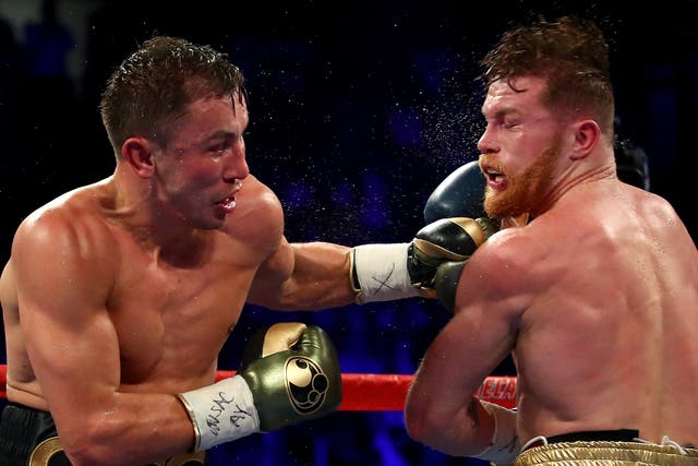 Golovkin and Canelo look set to fight again next year