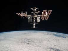 Bacteria found on International Space Station looks like that on Earth