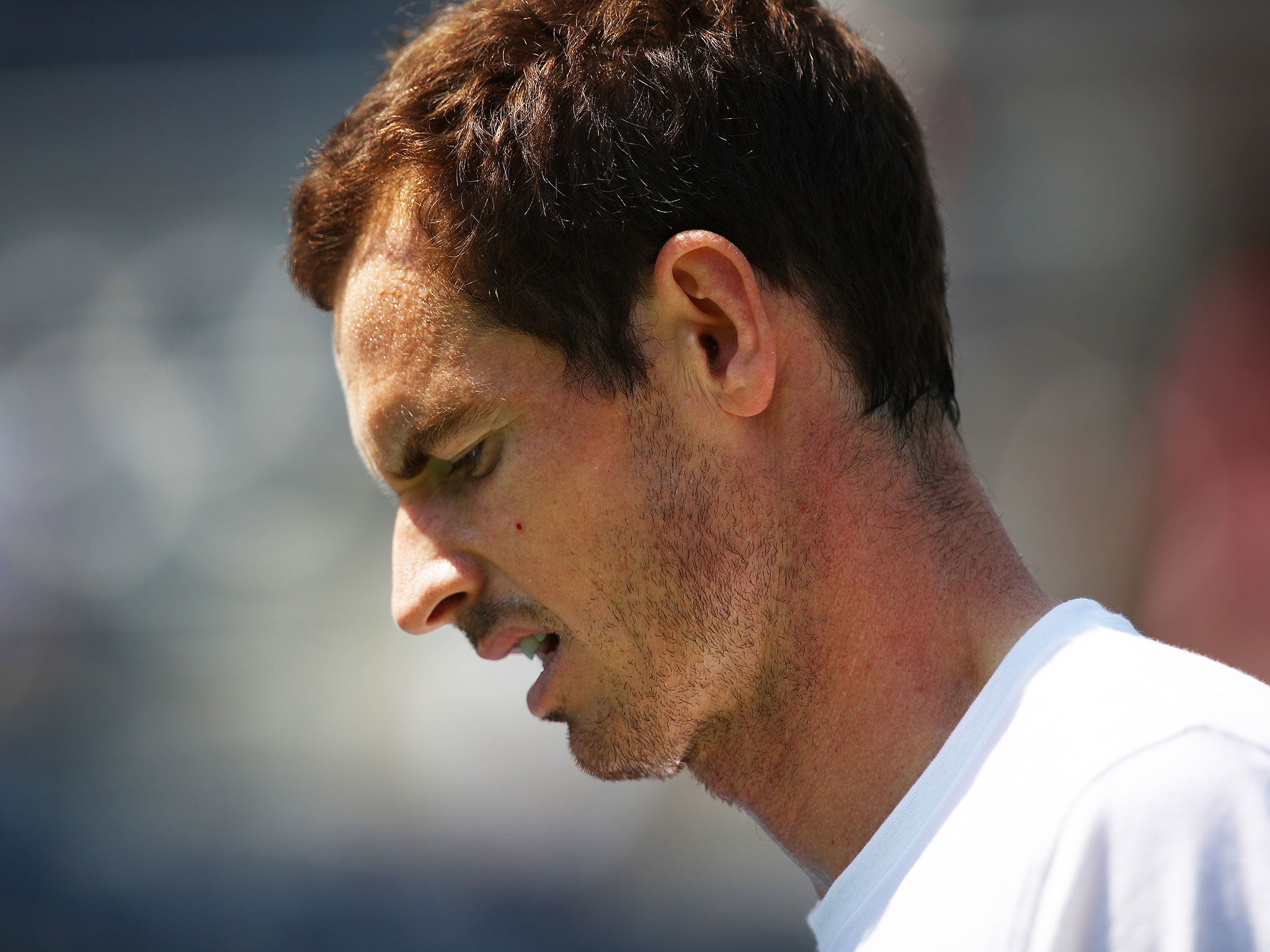 Murray has carried the weight of British expectation since 2012
