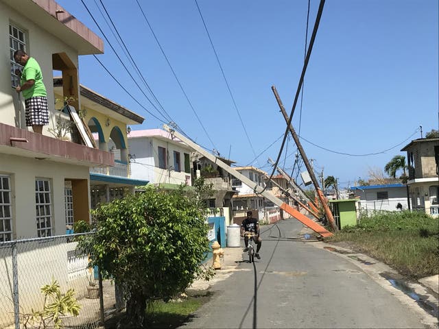 Uprooted power poles collapsed on a street of houses in Loiza, Puerto Rico two weeks after Hurricane Maria