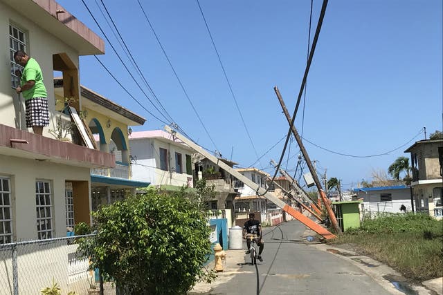 Uprooted power poles collapsed on a street of houses in Loiza, Puerto Rico two weeks after Hurricane Maria