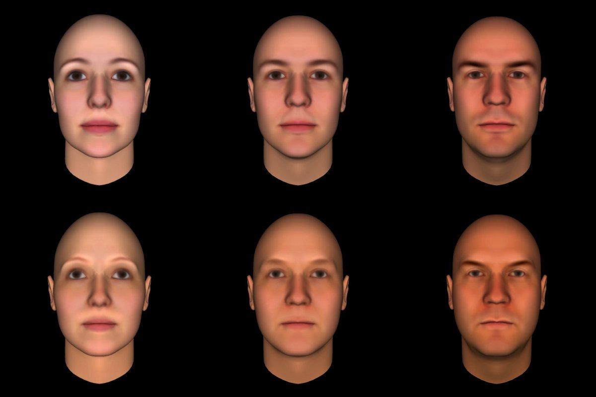 Masculine Vs Feminine Features Men With Feminine Faces More Likely To