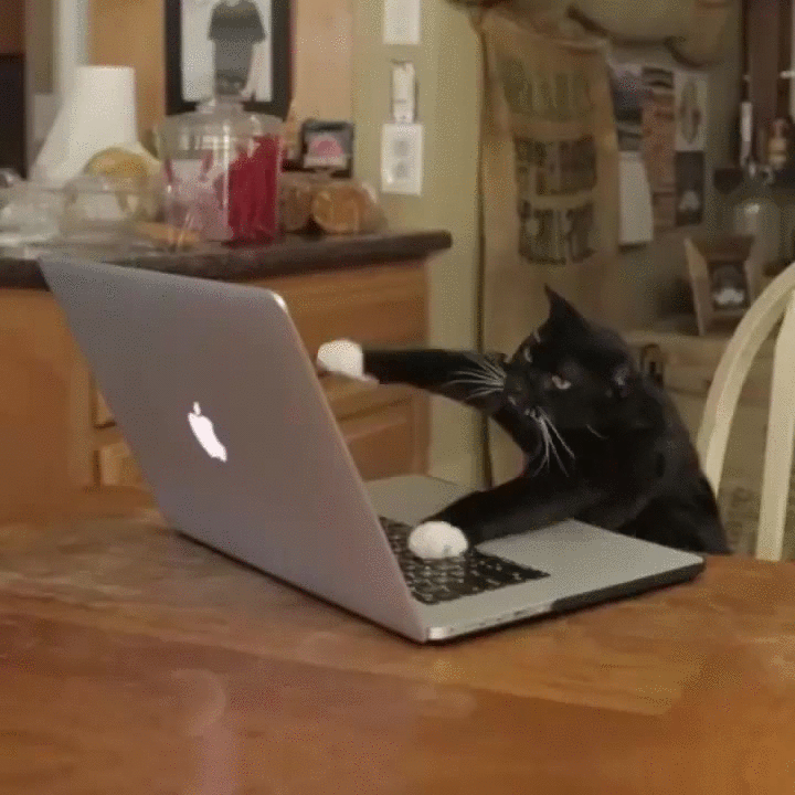 giphy-41. gif