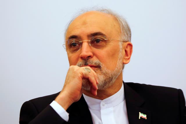 Ali Akbar Salehi, head of the Iranian Atomic Energy Organisation