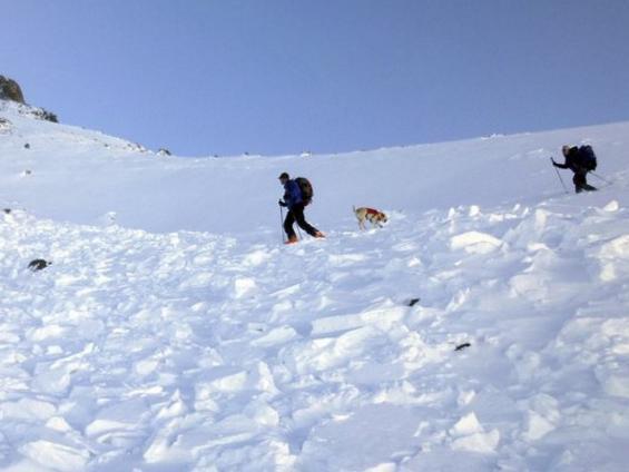 Search and rescue volunteers with their dog hunt in vain for Inge Perkins at Imp Peak in Montana's Madison Range