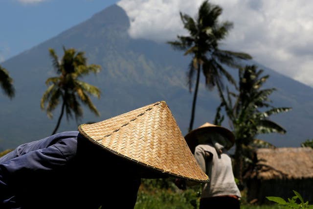 Balinese farmers with Mount Agung in the background. Areas with high volcanic activity also have some of the world’s most fertile farmlands