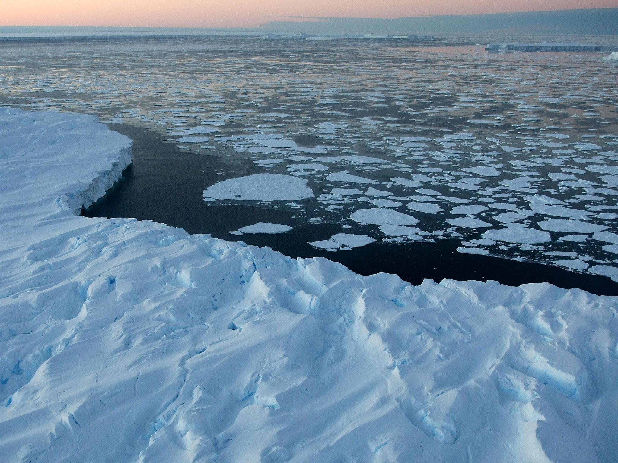 Areas of open water surrounded by ice are known as 'polynya'