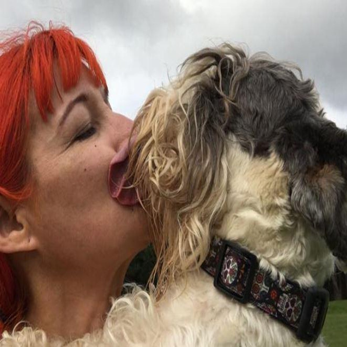 Oldage Womans Sex With Animals Xxx Porn - Woman who married dog eight years ago says he's 'perfect' for her | The  Independent | The Independent