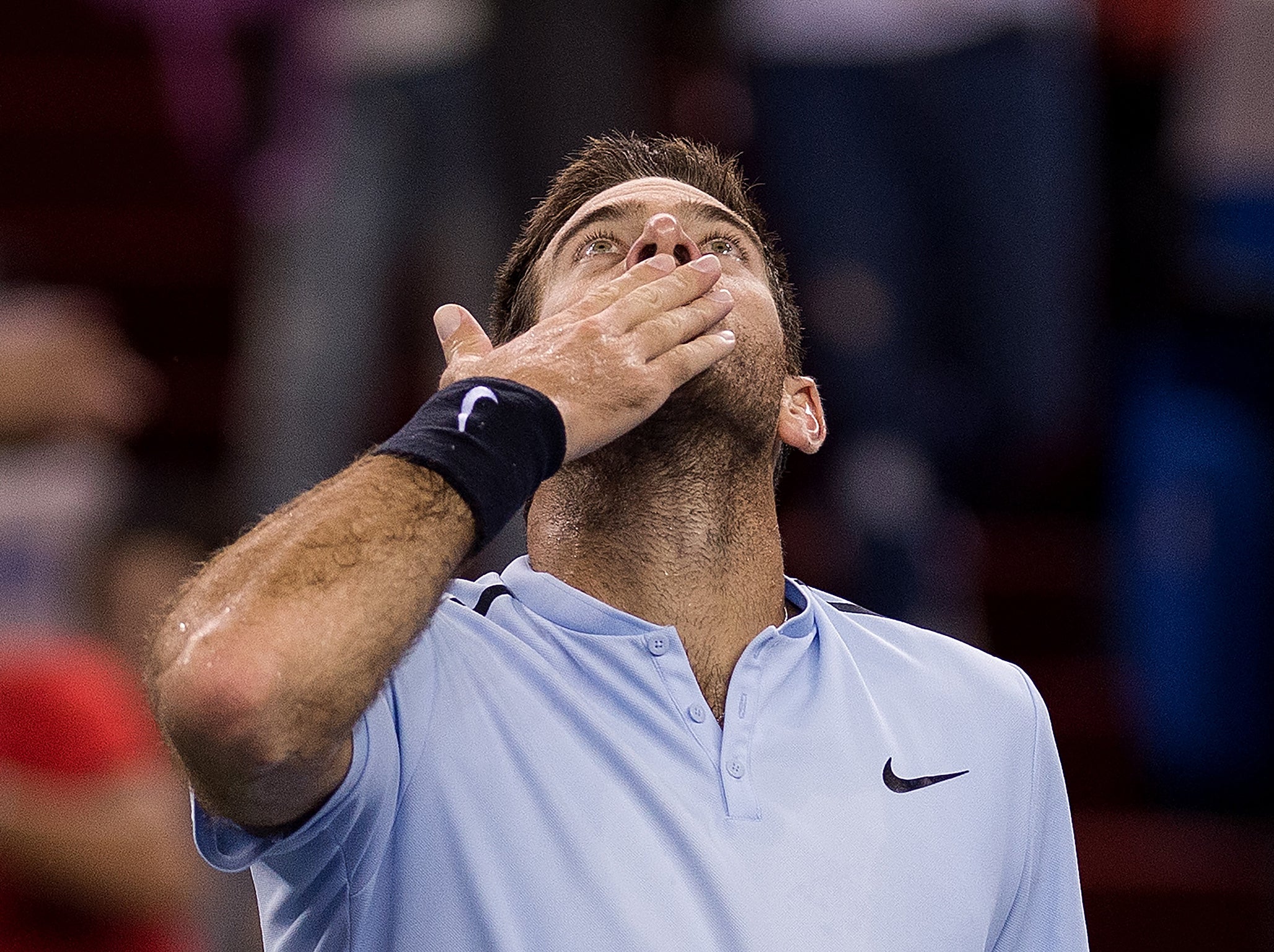 Del Potro fought back to beat Zverev