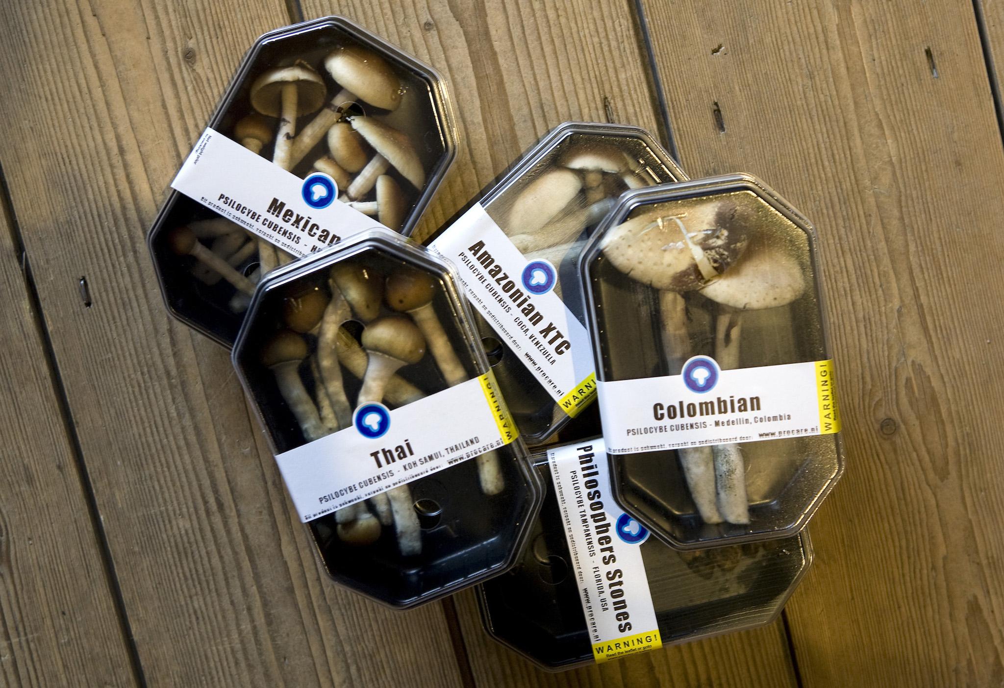 Boxes containing magic mushrooms are displayed at a coffee and smart shop in Rotterdam