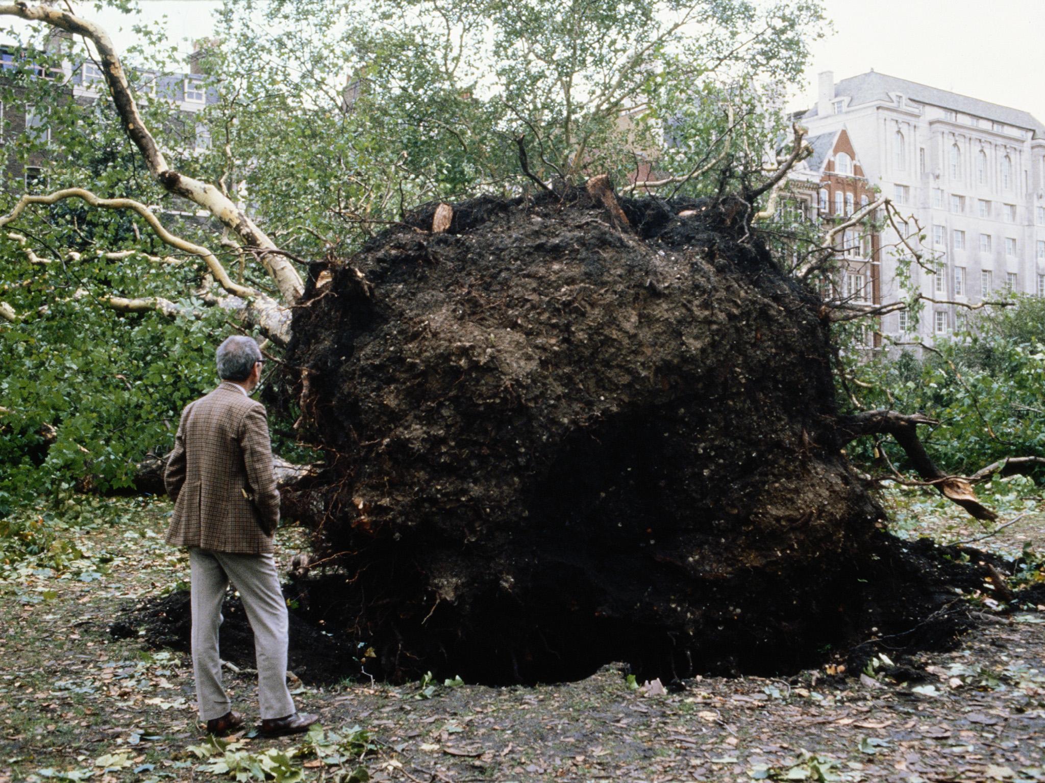 The extratropical cyclone which hit Britain in 1987 had not been since since 1703