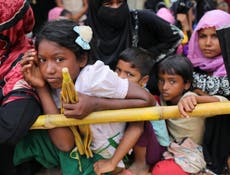 Rohingya child refugees killed in elephant attack after fleeing Burma 