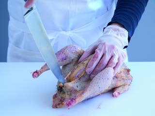 deschiderea orificiului pentru a vă permite să desenați fazanul