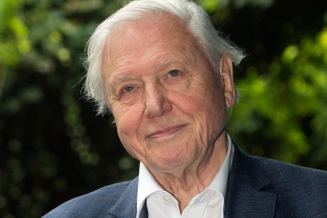 Sir David Attenborough at the premiere of Blue Planet II, his BBC programme exploring the world's oceans