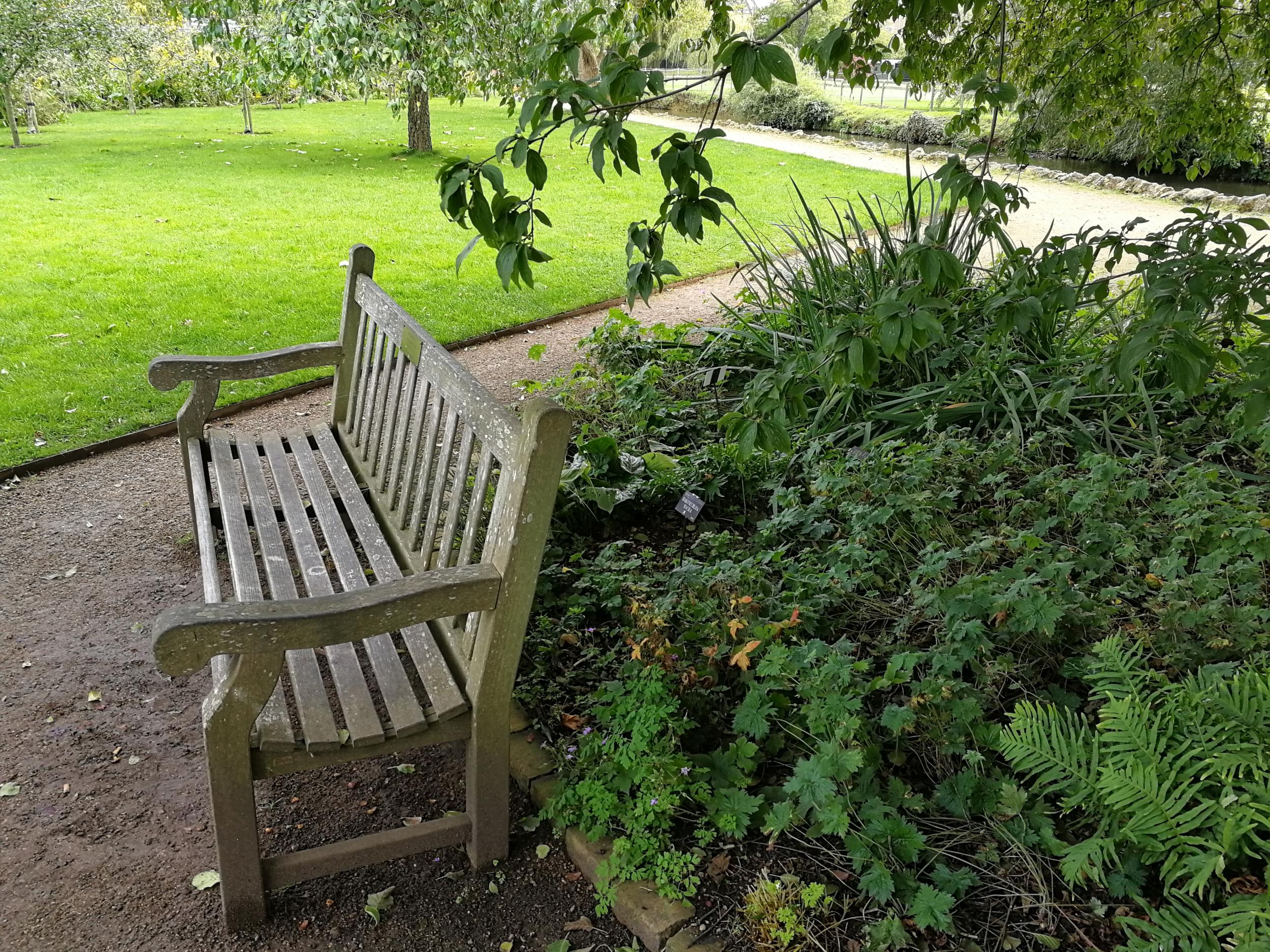 Lyra and Will's bench in the Botanic Gardens, where they will meet once a year in separate worlds