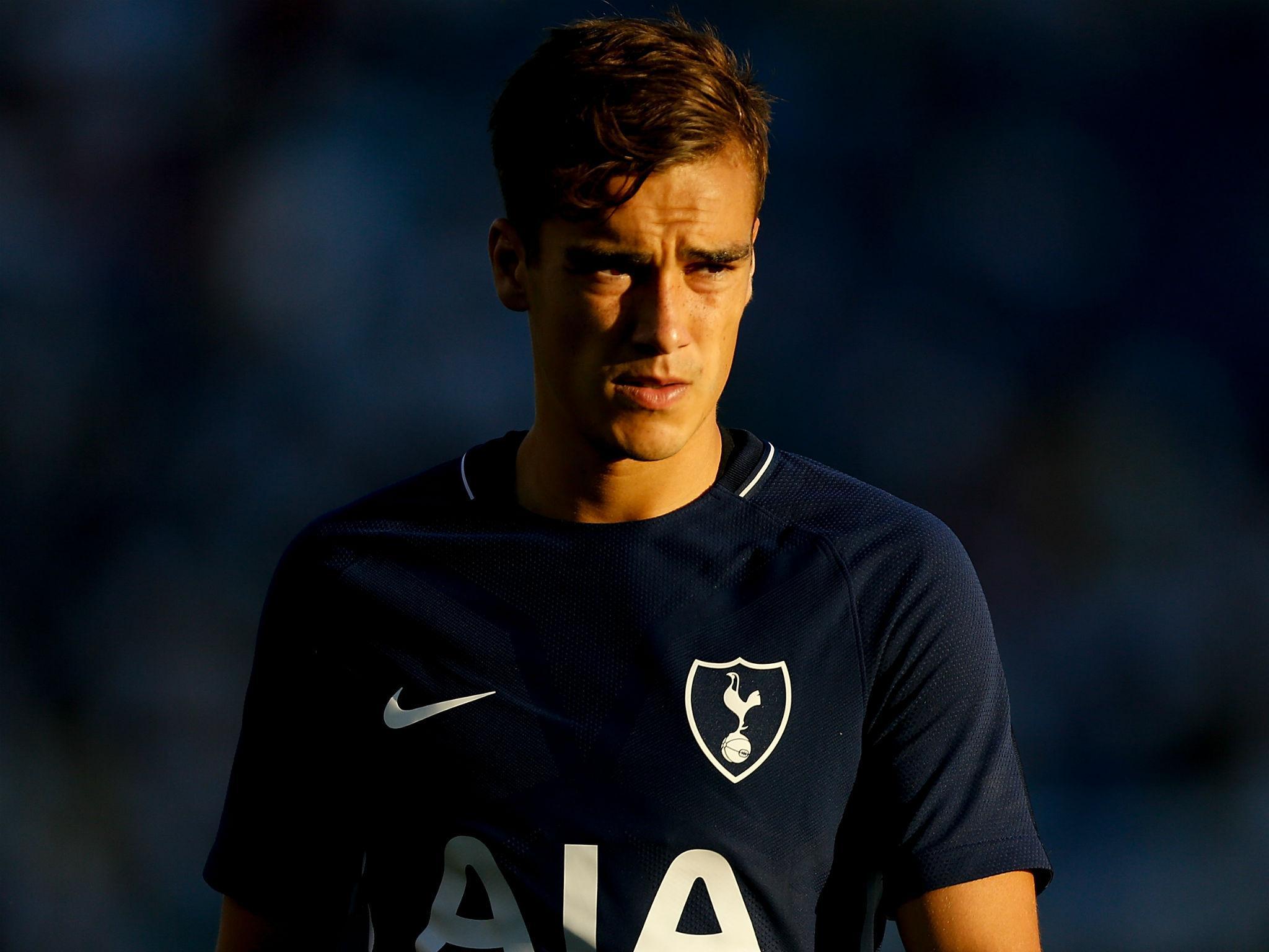 Harry Winks has been handed an England call-up